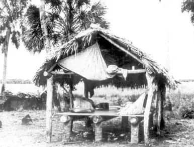 Native American Homes - Chickees